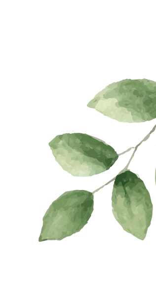 Layer_1