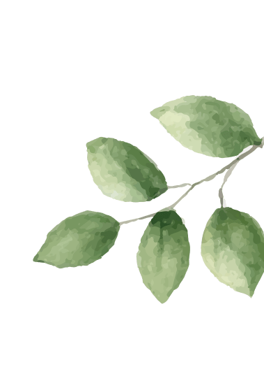 Group