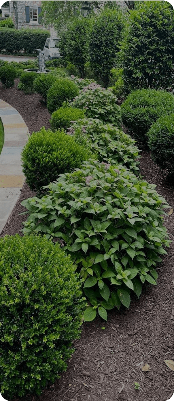 Landscaping work in Richmond, Virginia