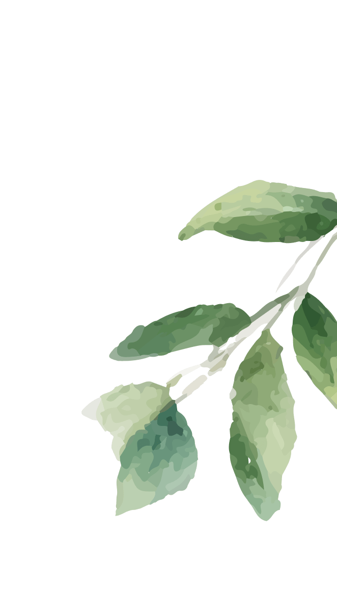 plant-accent-14