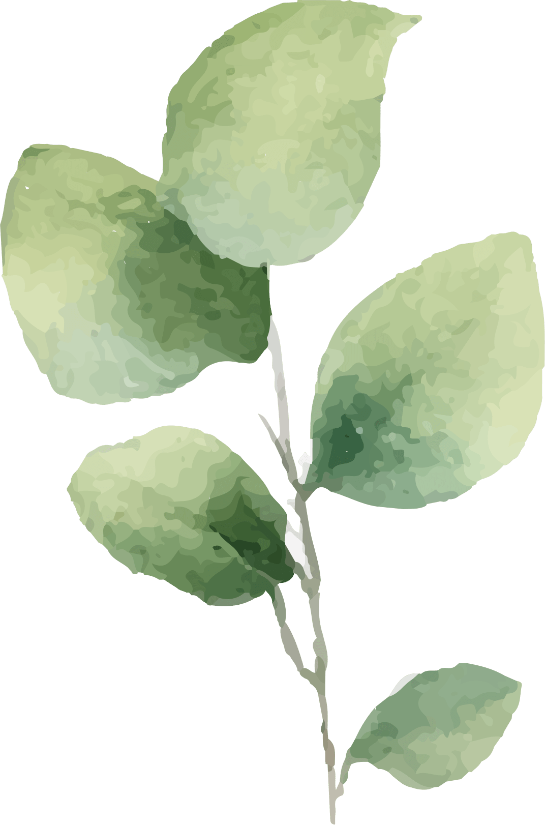 plant copy 7