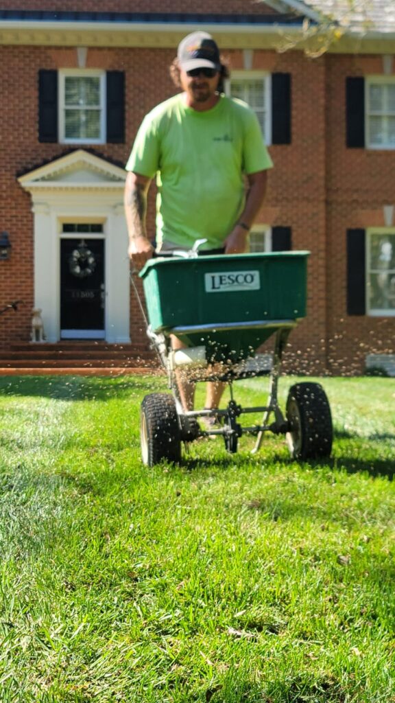Aeration and Overseeding