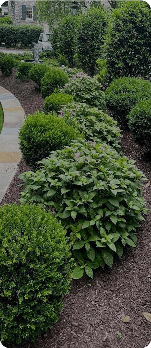 Landscaping work in Richmond, Virginia