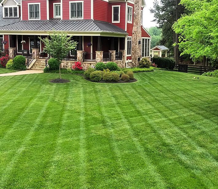 Landscaping