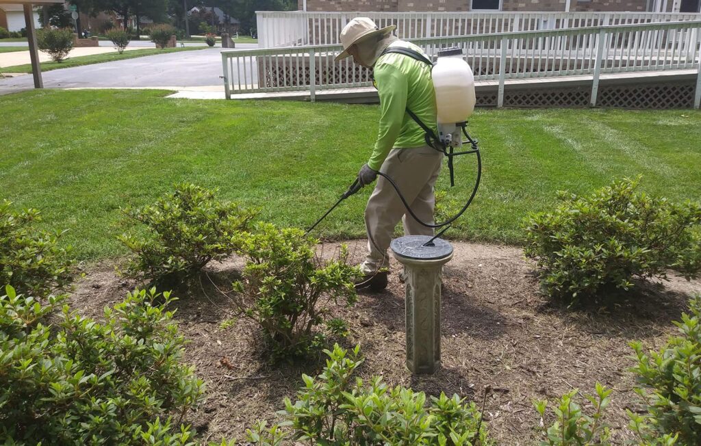 Landscaper performing landscape maintenance for GSU