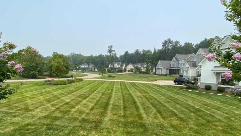 Lawn Mowing (4)