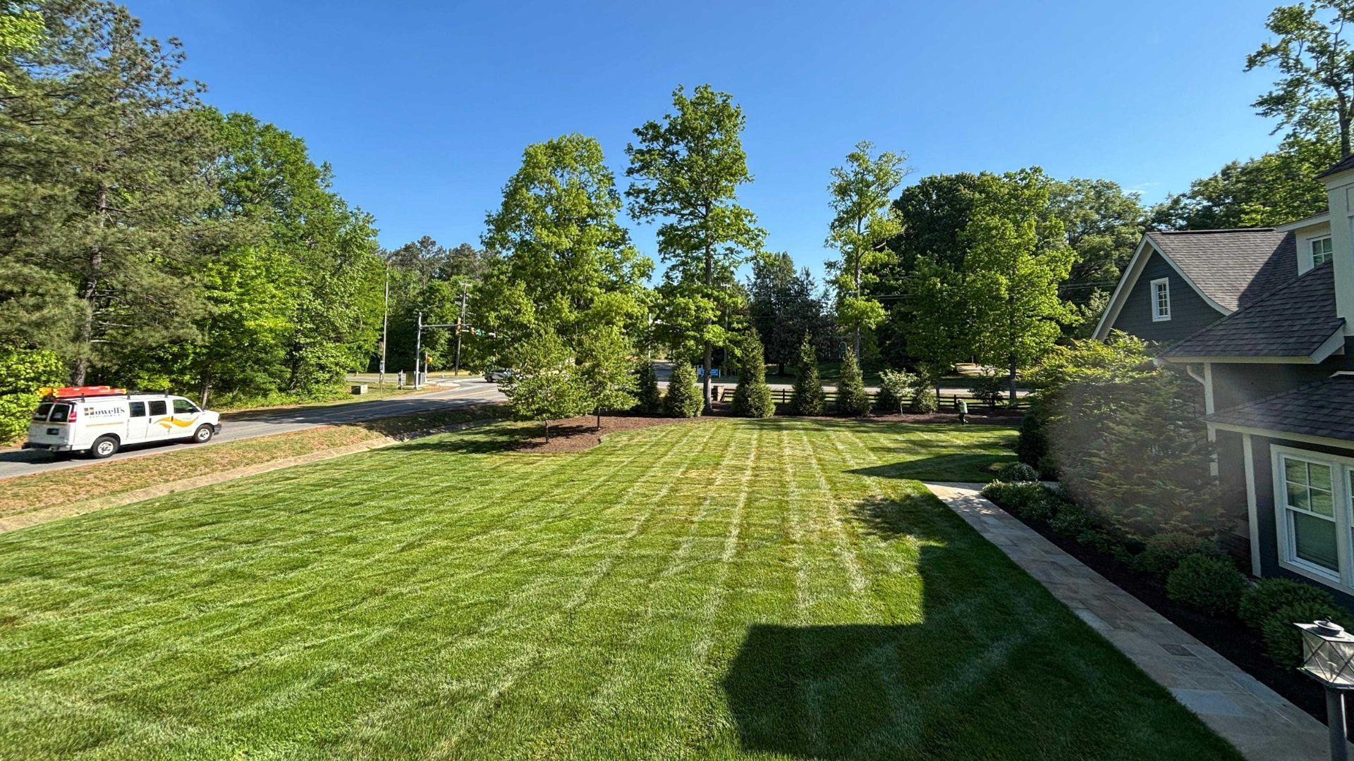 Residential mowed lawn