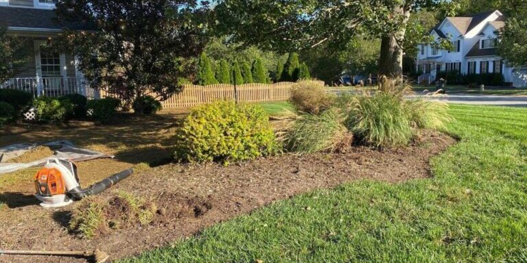 Low Maintenance Landscaping Ideas