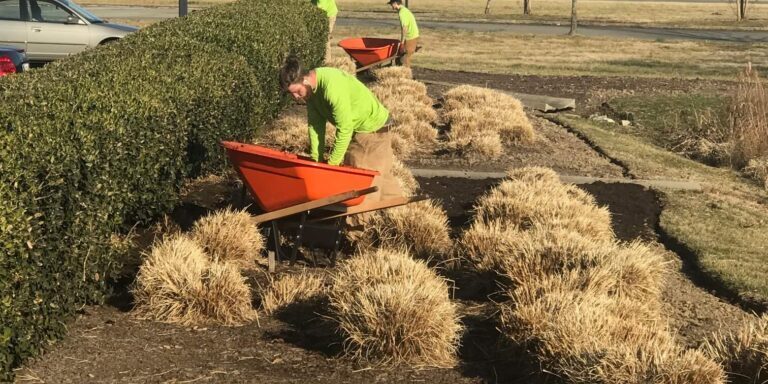 Richmond VA Landscaping Maintenance
