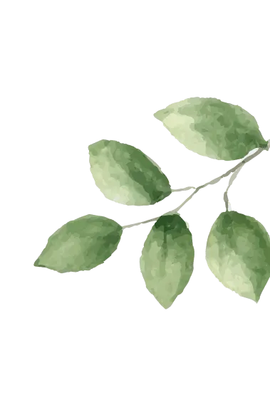 Group