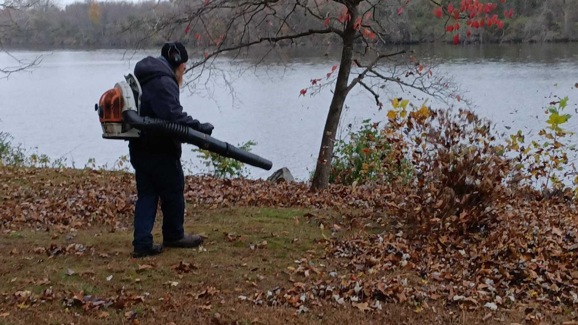 Leaf Blowing