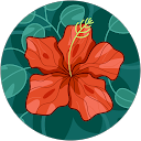 Nikia Jones profile picture