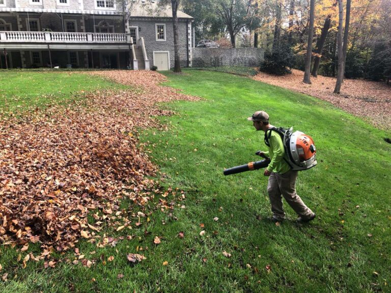 Richmond-VA-Landscape-Maintenance-and-Leaf-Removal-2-1