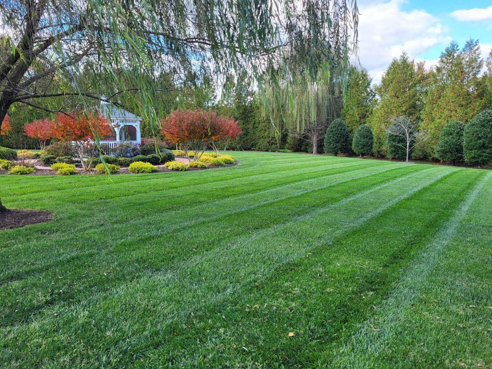 Richmond, VA Spring Cleanup