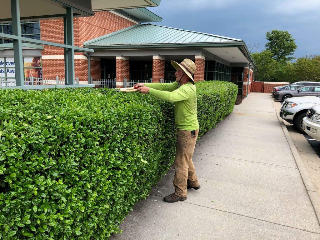 VA Landscape Maintenance