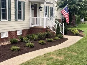 Plants in a mulched garden bed