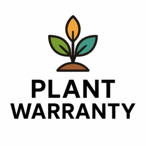 ChatGPT Image Oct 29, 2025, 06_42_15 AM