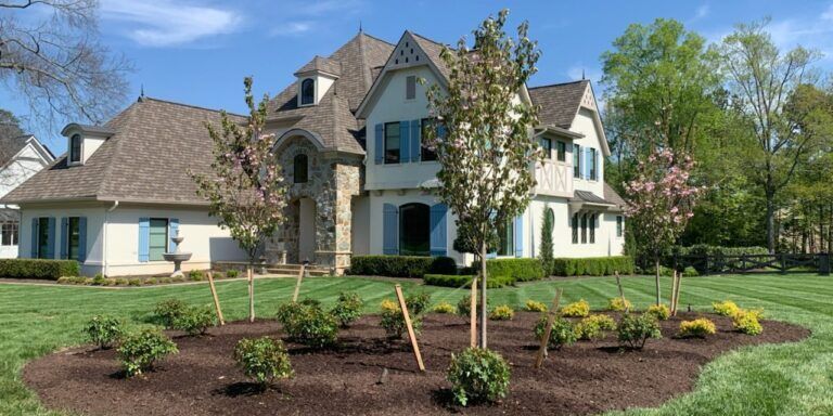 Low maintenance front yard landscaping