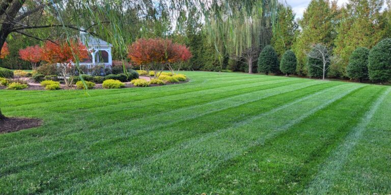 Richmond, VA Spring Cleanup