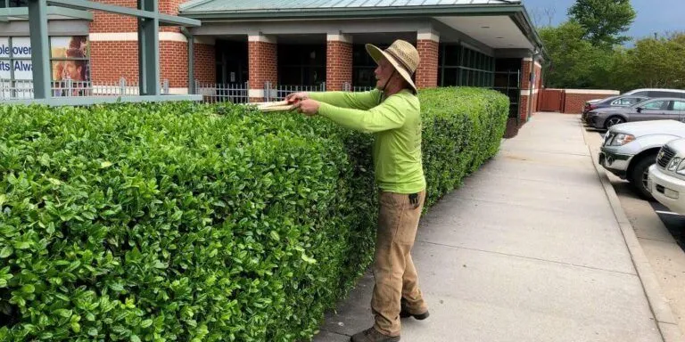 VA Landscape Maintenance