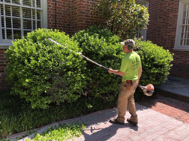 Pruning
