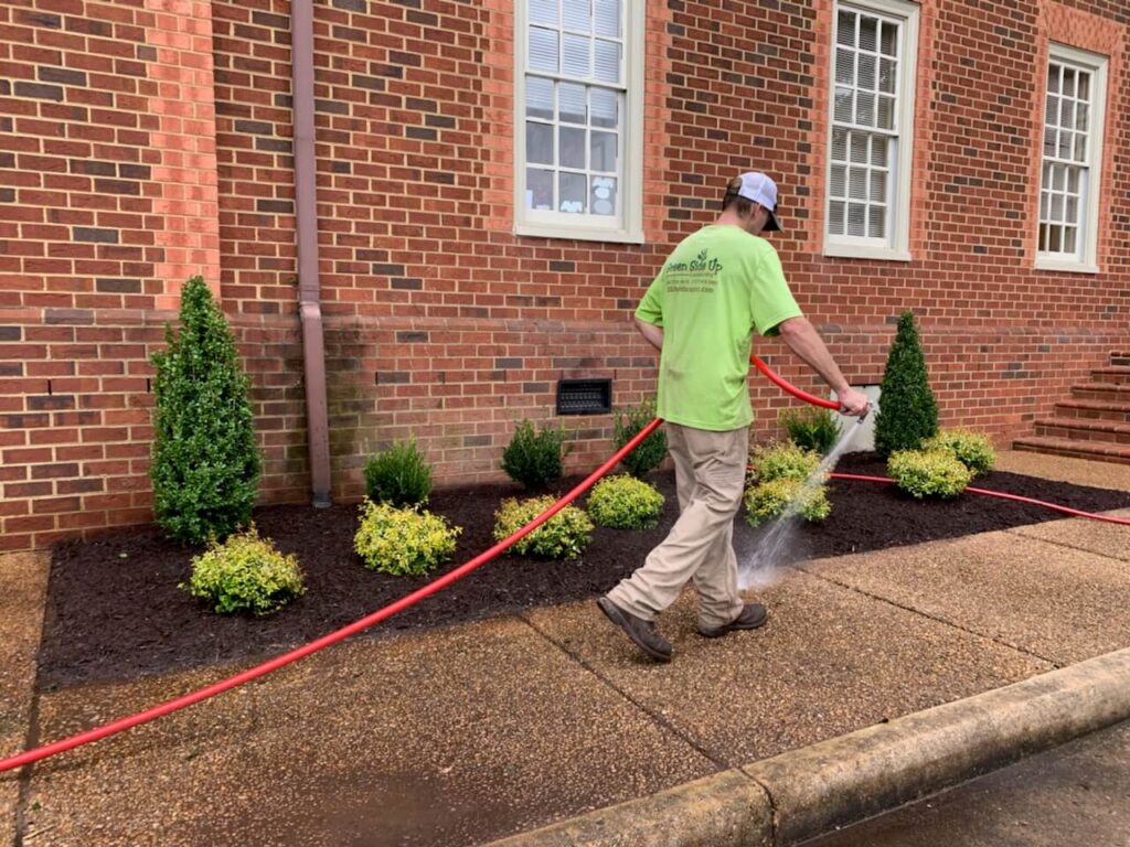 best-watering-guidelines-for-newly-installed-plants