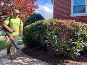 Richmond VA Landscaping Maintenance