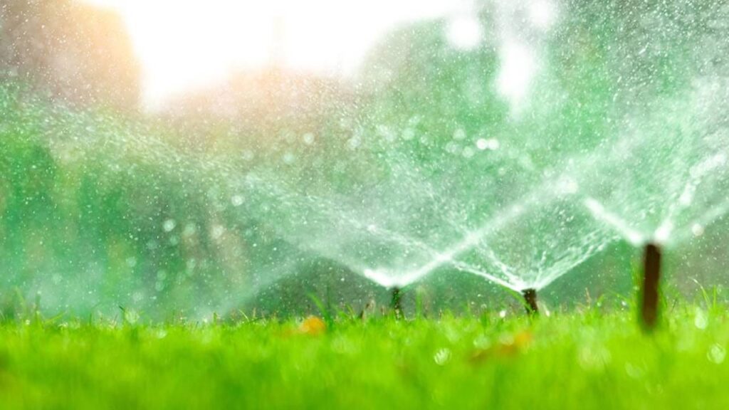 Richmond VA Landscape Maintenance