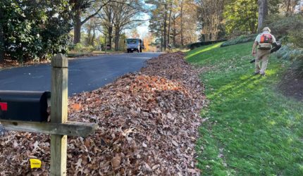 Richmond, VA Landscape Maintenance and Leaf Removal