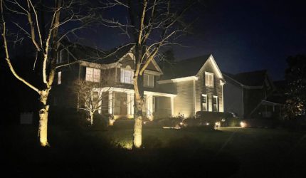 Functional and aesthetic landscape lighting in Richmond area