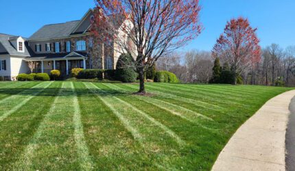 Professional landscaping services in Richmond front yard makeover