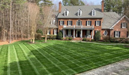 landscaping services in Richmond VA