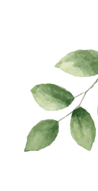 Layer_1