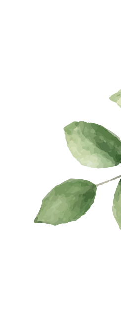 Layer_1