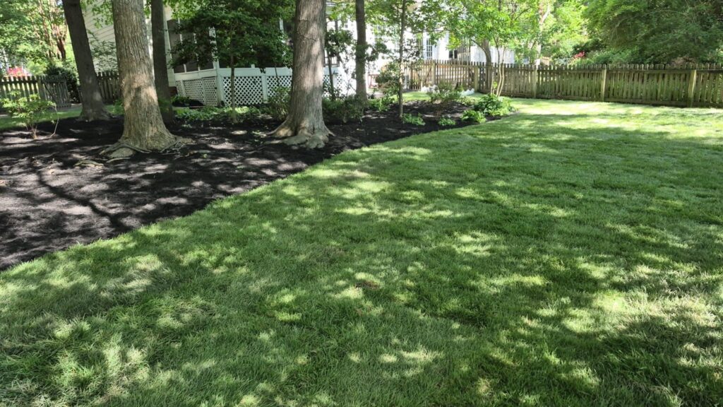 Sod Installation