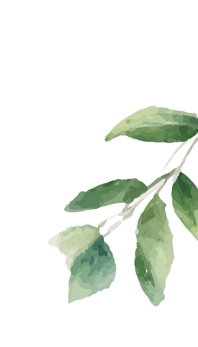 plant-accent-14