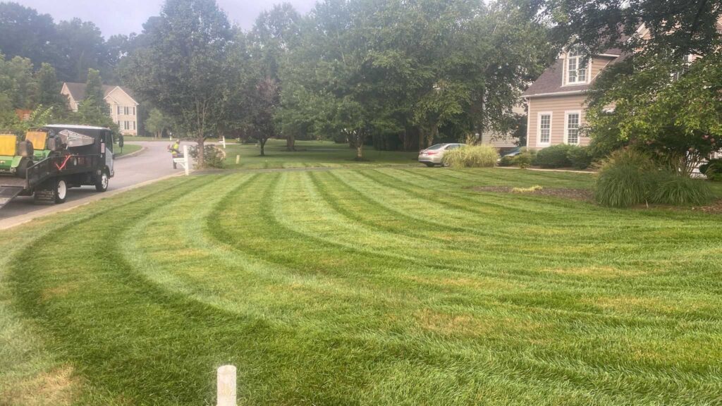 Landscape Cleanups