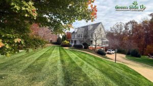 Best Landscape Maintenance Packages