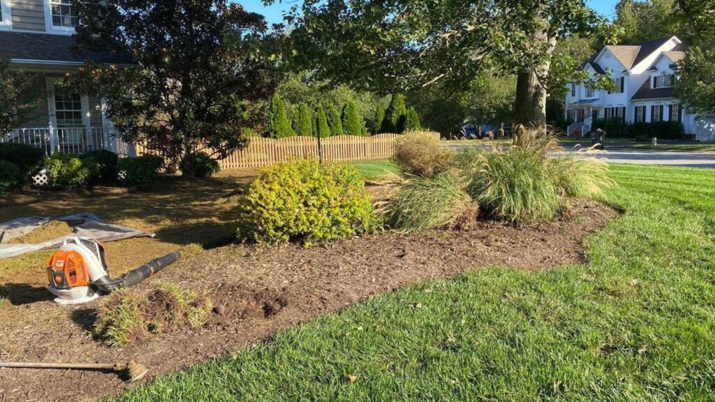 Low Maintenance Landscaping Ideas