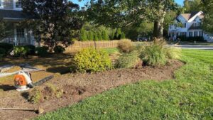 Low Maintenance Landscaping Ideas