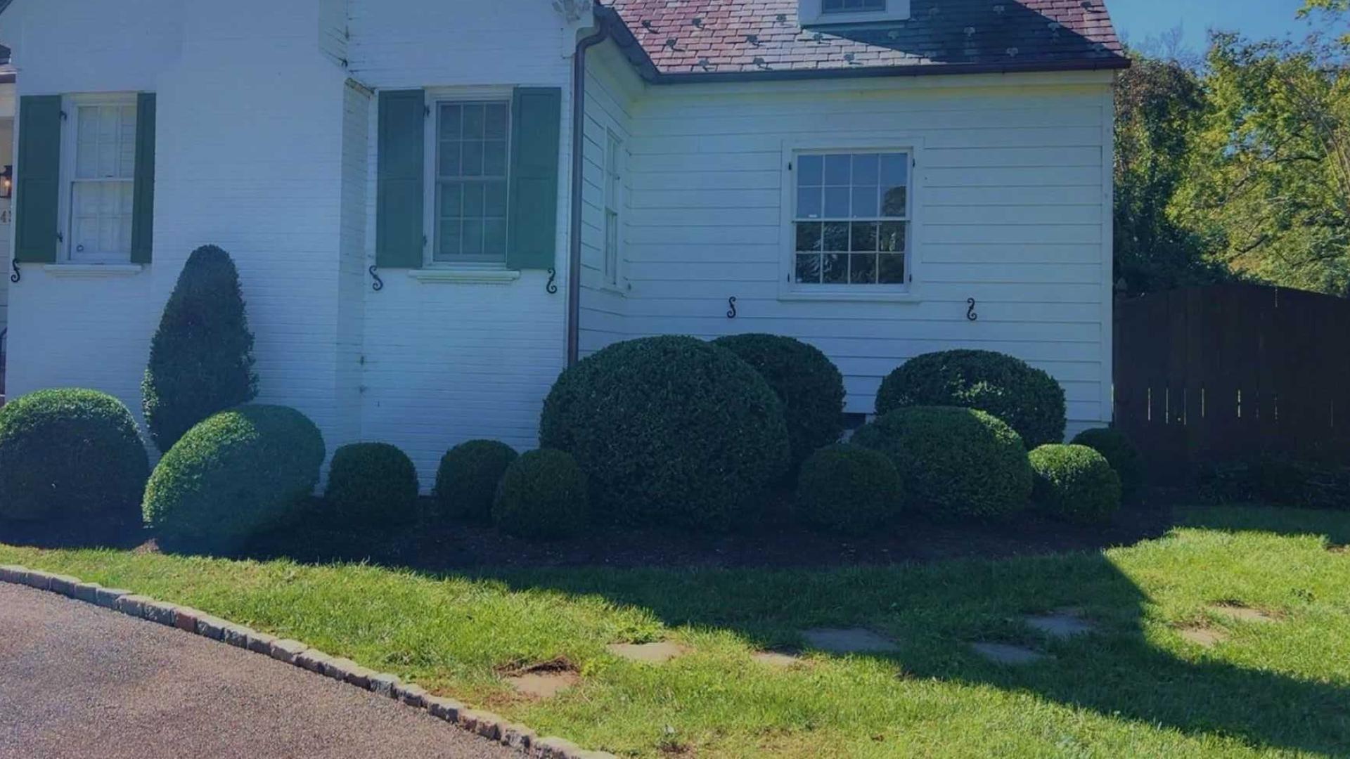 Landscape Maintenance