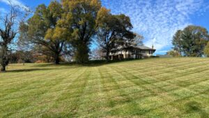 What is Landscape Maintenance