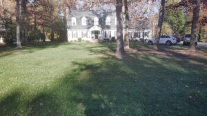 What's Included in Landscape Maintenance