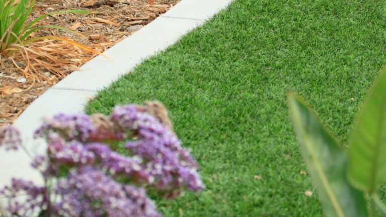Synthetic Turf (4)