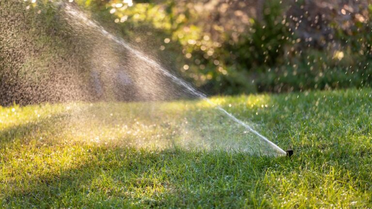 Irrigation (3)