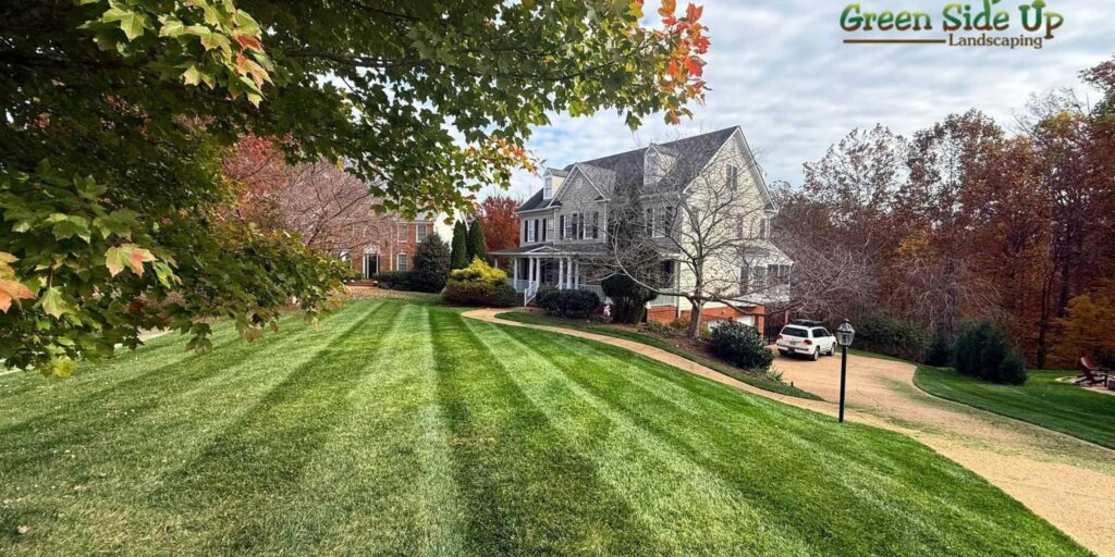 Best Landscape Maintenance Packages