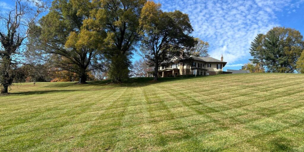 What is Landscape Maintenance