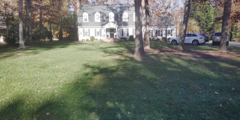 What's Included in Landscape Maintenance