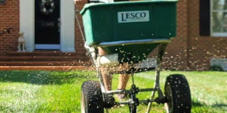 Aeration and Overseeding