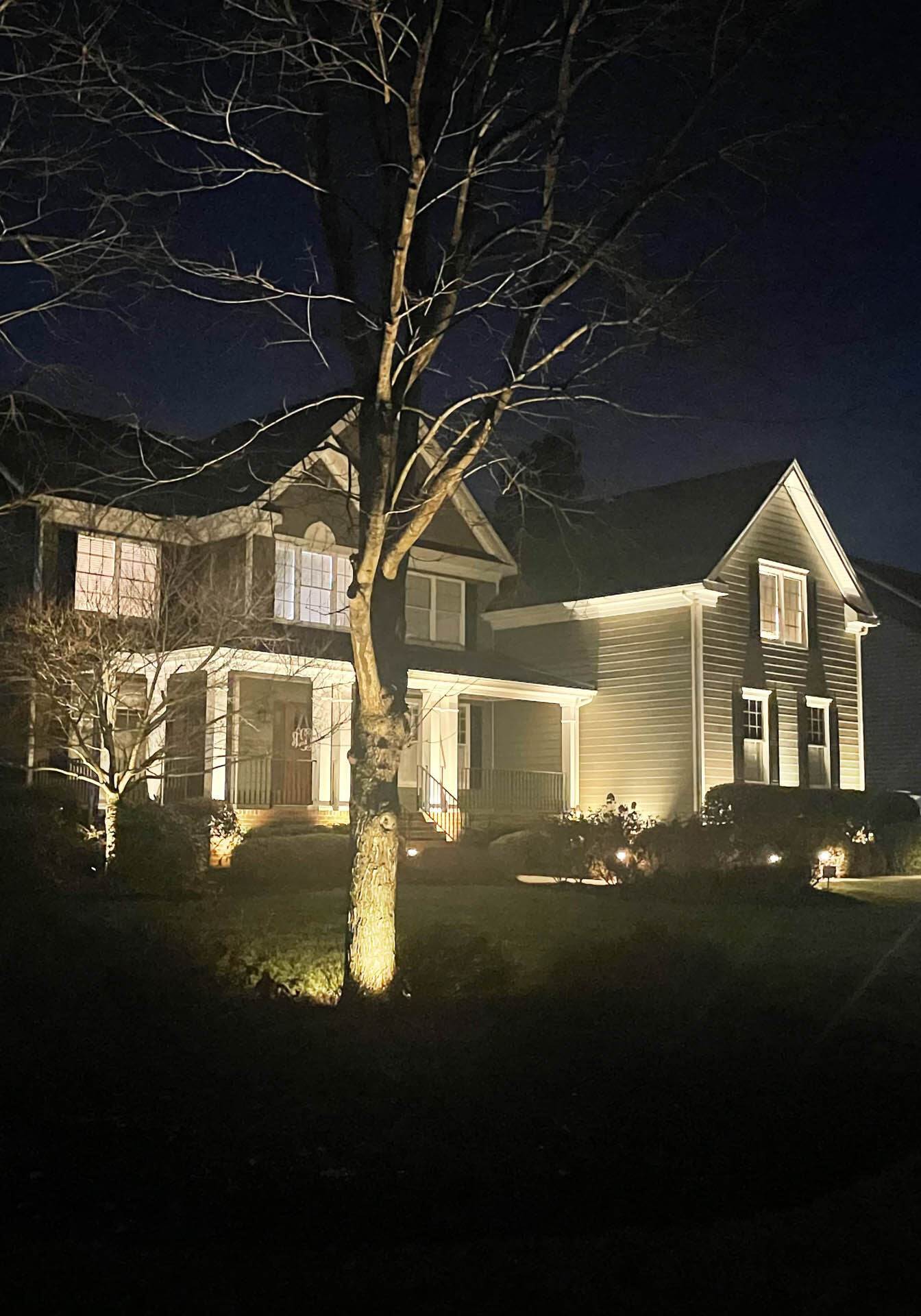 Functional and aesthetic landscape lighting in Richmond area